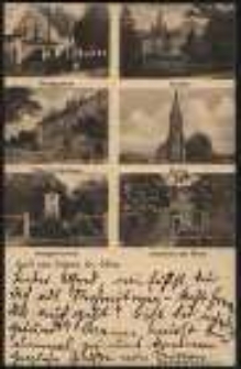 Gruß aus Jeltsch, Kr. Ohlau [Dokument ikonograficzny]