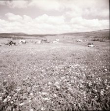 G&oacute;ry Izerskie : Jizerka (fot. 1) [Dokument ikonograficzny]