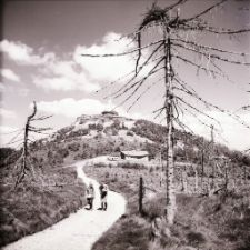 Góry Izerskie : Jeszted (fot. 1) [Dokument ikonograficzny]