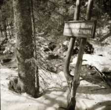 Karkonoski Park Narodowy (fot. 5) [Dokument ikonograficzny]