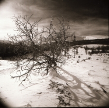 Karkonosze : Stara Polana (fot. 1) [Dokument ikonograficzny]