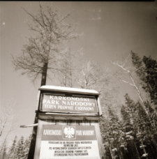 Karkonoski Park Narodowy (fot. 6) [Dokument ikonograficzny]