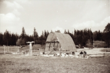 Szklarska Poręba : dolna stacja wyciągu na Szrenicę (fot. 4) [Dokument ikonograficzny]