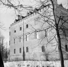 Zamek w Karpnikach (fot.4) [Dokument ikonograficzny]