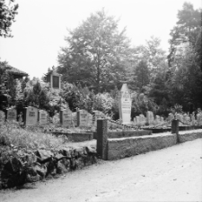 Jelenia Góra : cmentarz (fot.3) [Dokument ikonograficzny]
