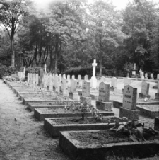 Jelenia Góra : cmentarz (fot.4) [Dokument ikonograficzny]