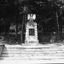 Jelenia Góra : cmentarz (fot.6) [Dokument ikonograficzny]