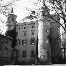 Pałac w Wojanowie (fot.3) [Dokument ikonograficzny]