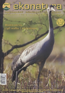 Ekonatura : og&oacute;lnopolski miesięcznik ekologiczny, 2013, nr 10