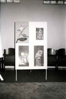 Przyroda w fotografii (fot. 1) [Dokument ikonograficzny]