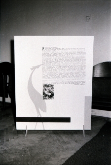 Przyroda w fotografii (fot. 2) [Dokument ikonograficzny]