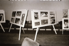 Przyroda w fotografii (fot. 6) [Dokument ikonograficzny]