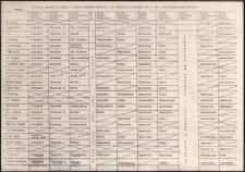 Festiwal Teatru Ulicznego = Street Theatre Festival = Le Festival Du Theatre De La Rue = Strassentheater Festival [Dokument życia społecznego]