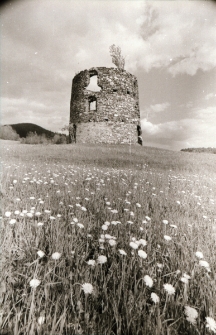 [Ruina wiatraka holenderskiego w Mysłowie] (fot. 1) [Dokument ikonograficzny]