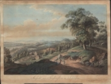 Ansicht von Fürstenstein in Schlesien [Dokument ikonograficzny]