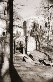 [Zamek Bolczów] (fot. 7) [Dokument ikonograficzny]