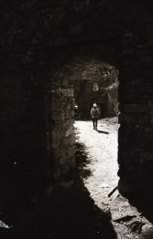 [Zamek Bolczów] (fot. 8) [Dokument ikonograficzny]