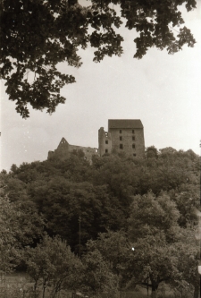 [Zamek Świny] (fot. 2) [Dokument ikonograficzny]