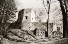 [Zamek Bolcz&oacute;w] (fot. 10) [Dokument ikonograficzny]