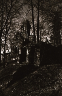 [Zamek Rajsko] (fot. 2) [Dokument ikonograficzny]