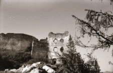 [Zamek w Czorsztynie] (fot. 2) [Dokument ikonograficzny]