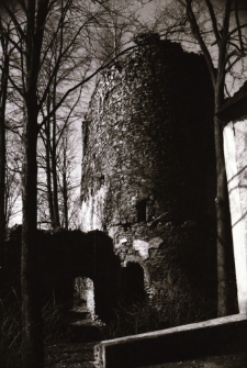 [Zamek w Świeciu] (fot. 2) [Dokument ikonograficzny]