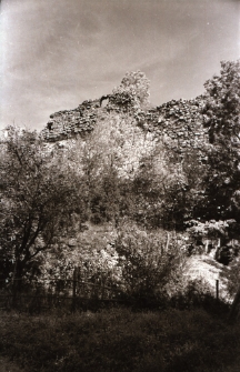 [Zamek Podskale] (fot. 3) [Dokument ikonograficzny]