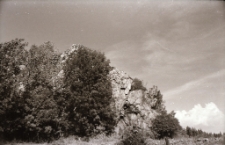 [Zamek Podskale] (fot.4) [Dokument ikonograficzny]