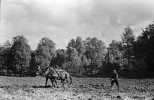 [Prace rolne : Szklarska Poręba] (fot. 3) [Dokument ikonograficzny]