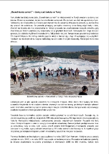 „Bawełniany zamek” – ósmy cud świata w Turcji [Dokument elektroniczny]