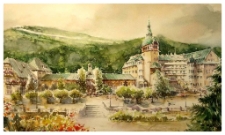 Świeradów - Zdrój (obraz 2)[Dokument ikonograficzny]