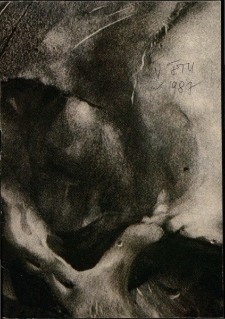 V- th International Street Theatre Festival[Dokument życia społecznego]