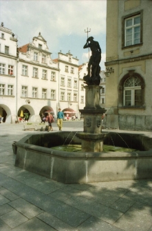 Fontanna Neptuna [Dokument ikonograficzny]