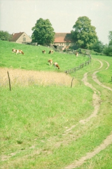 Czarnów - Gospodarstwo rolne [Dokument ikonograficzny]