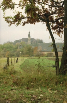 Kościół św. Marii Magdaleny w Zatoniu (fot. 1) [Dokument ikonograficzny]