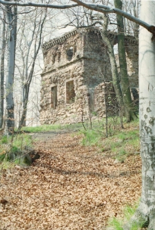 Ruiny wieży widokowej w Ciszycy (fot.1) [Dokument ikonograficzny]