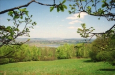 Widok na Stawy Podgórzyńskie [Dokument ikonograficzny]