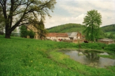 Pałac w Sokołowcu (fot.10) [Dokument ikonograficzny]