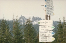 Oznakowanie szlaków (fot. 1) [Dokument ikonograficzny]