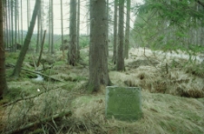 Płuczki złota w Górach Izerskich (fot. 1) [Dokument ikonograficzny]