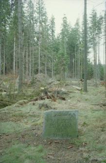 Płuczki złota w G&oacute;rach Izerskich (fot. 2) [Dokument ikonograficzny]