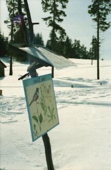 "Osiedle Orle" - Znak [Dokument ikonograficzny]