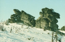 Końskie Łby (fot. 5) [Dokument ikonograficzny]