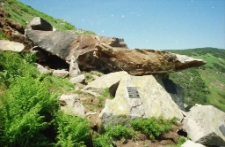 Karkonosze - cmentarz górski w Dolinie Łomniczki (fot. 4) [Dokument ikonograficzny]