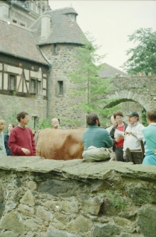 Zamek Czocha (fot. 8) [Dokument ikonograficzny]