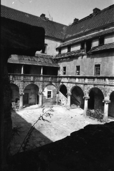 Zamek w Płakowicach (fot.2) [Dokument ikonograficzny]