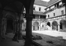 Zamek w Płakowicach (fot.6) [Dokument ikonograficzny]