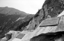 Karkonosze - cmentarz górski w Dolinie Łomniczki (fot. 4) [Dokument ikonograficzny]