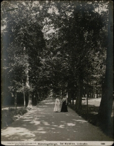 Riesengebirge. Bad Warmbrunn, Lindenallee [Dokument ikonograficzny]
