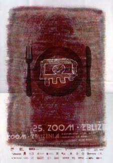 25. Zoom Zbliżenia Międzynarodowy Festiwal Filmowy = International Film Festival - plakat [Dokument życia społecznego]